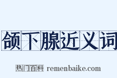 颌下腺近义词是什么意思的图片